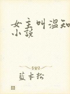 女主叫温知夏的小说