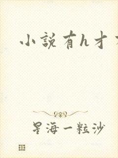 小说有h才有爱封面