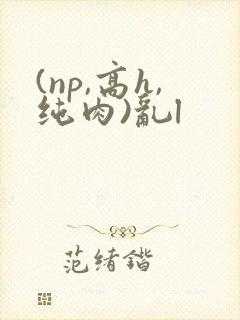(np,高h,纯肉)乱l