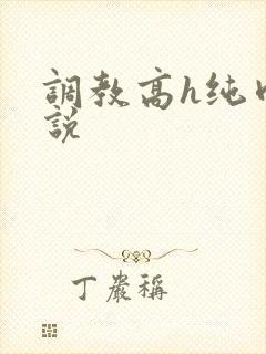 调教高h纯肉小说