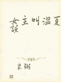 女主叫温夏的小说