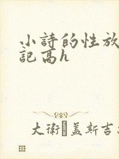 小诗的性放荡日记高h封面