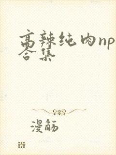 高辣纯肉np文合集