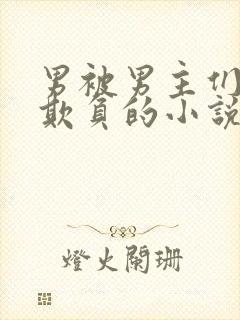 男被男主们轮流欺负的小说