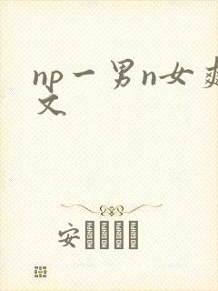 np一男n女爽文