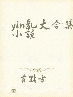 yin乱大合集小说