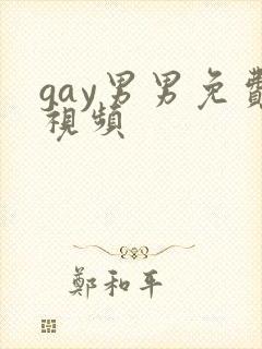gay男男免费视频