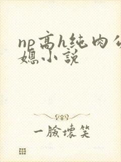 np高h纯肉公媳小说