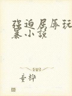 强迫屈辱玩弄粗暴小说