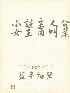 小说主人公林凡女主角叫叶惜