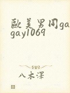 欧美男同gaygay1069