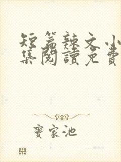 短篇辣文小说全集阅读免费