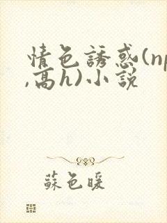 情色诱惑(np,高h)小说