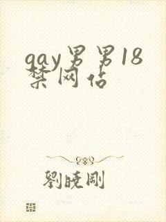 gay男男18禁网站