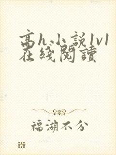 高h小说1v1在线阅读