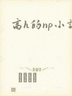 高h的np小说