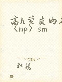 高h荤爽肉欲文〈np〉sm