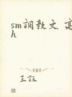 sm调教文 高h封面
