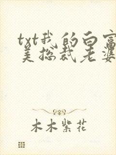 txt我的白富美总裁老婆下载