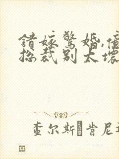 错嫁惊婚,亿万总裁别太坏