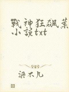 战神狂飙叶无缺小说txt