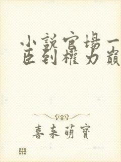 小说官场一等功臣到权力巅峰