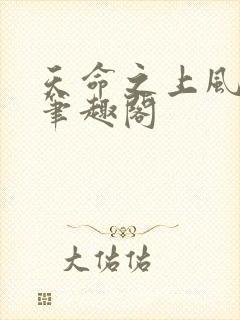 天命之上风月新笔趣阁封面