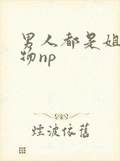 男人都是姐的玩物np