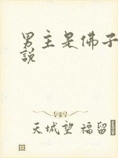男主是佛子的小说
