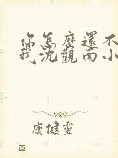 你怎么还不来哄我沈观南小说免费阅读