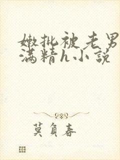 嫩批被老男人灌满精h小说封面