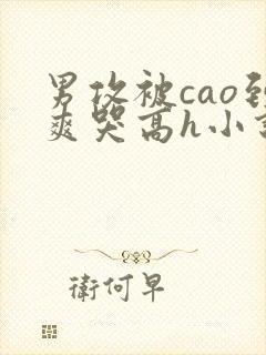 男攻被cao到爽哭高h小说封面