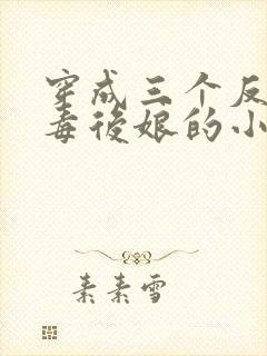 穿成三个反派恶毒后娘的小说