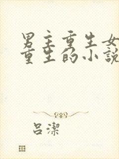 男主重生女主没重生的小说