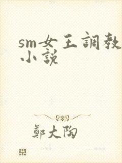 sm女王调教的小说