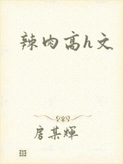 辣肉高h文封面