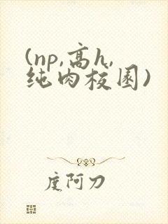 (np,高h,纯肉校园)