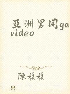 亚洲男同gayvideo