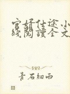 官婿仕途小说在线阅读全文