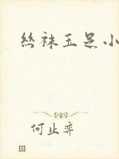 丝袜玉足小说