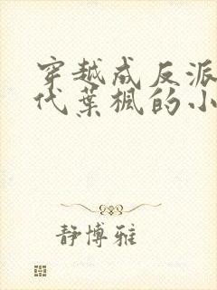 穿越成反派富二代叶枫的小说