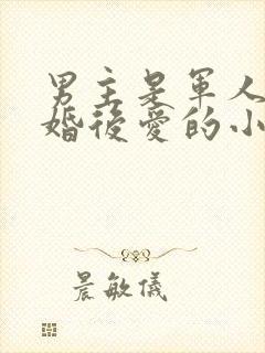 男主是军人的先婚后爱的小说封面