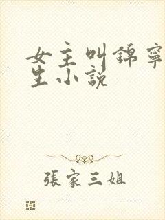 女主叫锦宁的重生小说