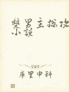 双男主总攻高h小说