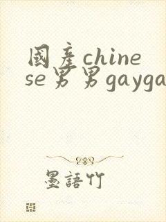 国产chinese男男gaygay网站2025