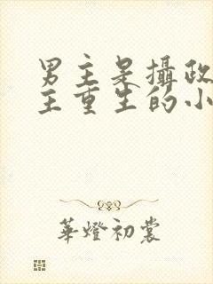 男主是摄政王女主重生的小说