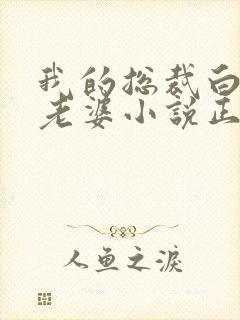 我的总裁白富美老婆小说正版