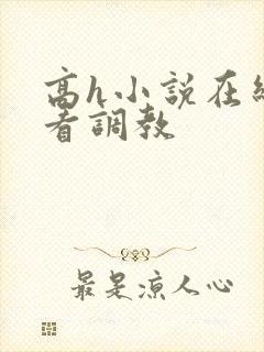 高h小说在线观看调教