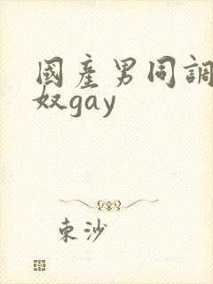国产男同调教男奴gay