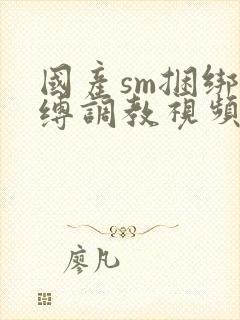 国产sm捆绑束缚调教视频